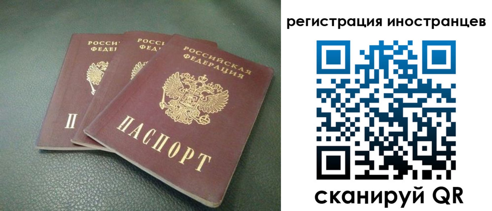 прописка от собственника в Курчатове